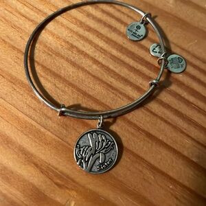 Alex and Ani Bracelet